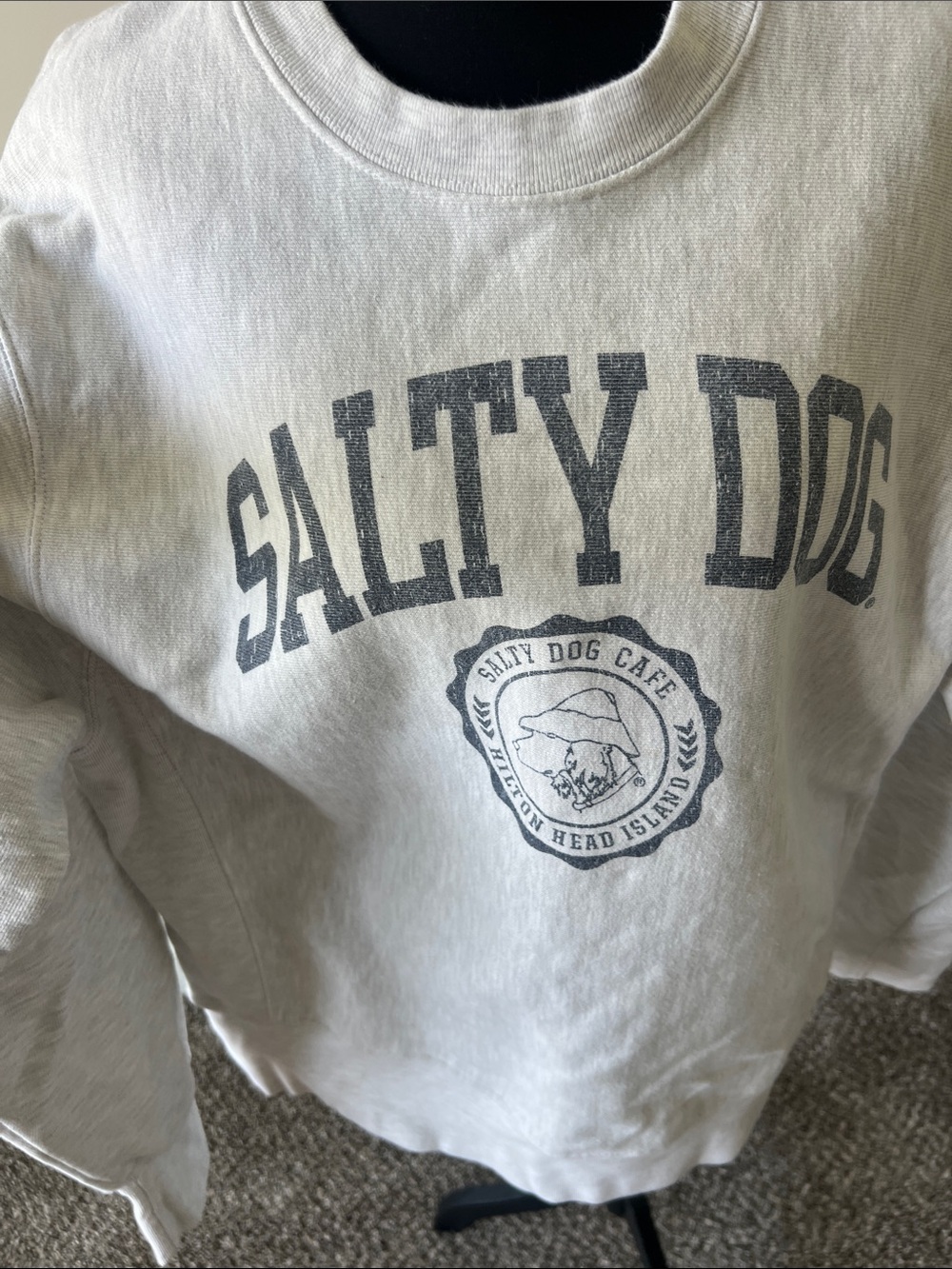Champion Salty Dog Graphic Sweatshirt in Light Gray Oversized - Picture 2 of 7